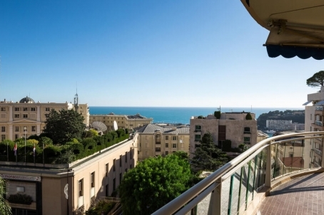 Apartment a few steps from the gardens of the Casino Monte-Carlo - RFC43020921AV